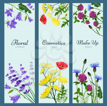 Wildflowers banners. Floral frame with place for text different herb flowers aromatherapy products nature medicine vector pictures. Illustration of natural organic wild botanical flower