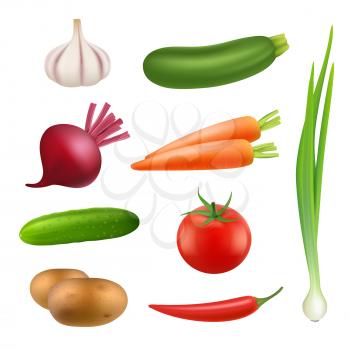 Fresh vegetables products. Healthy vegan agriculture food potato carrot cooking ingredients vector isolated realistic illustrations. Fresh harvest potato and raw food