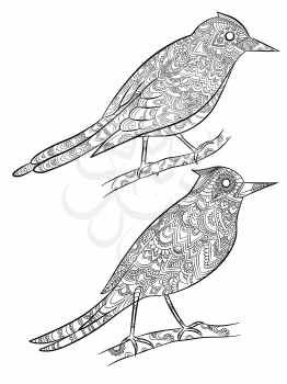 Birds coloring pages. Flying wild canary with linear floral pattern on their body vector cartoon illustrations. Canary mascot contour, songbird with plumage
