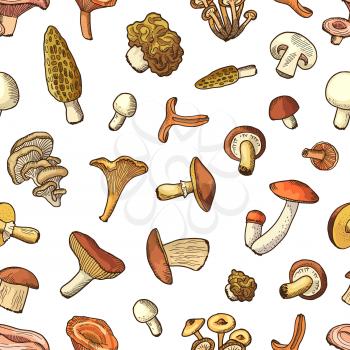 Vector hand drawn cartoon food mushrooms background or pattern illustration