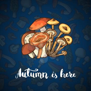 Vector hand drawn mushrooms food background with place for text illustration