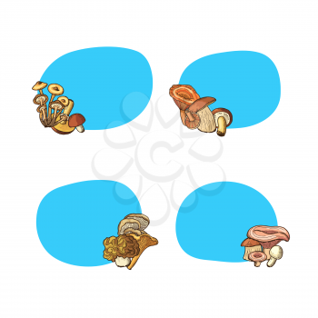 Vector hand drawn mushrooms stickers of set with place for text illustration isolated on white background