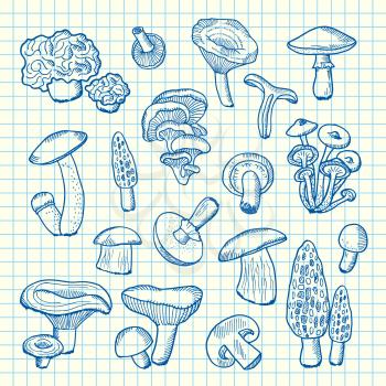 Vector pen hand drawn mushrooms isolated on cell sheet illustration