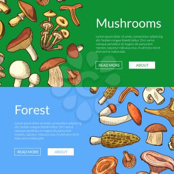 Vector hand drawn mushrooms horizontal web banners and poster illustration