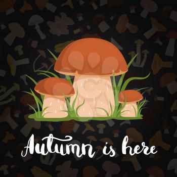 Vector banner poster background with cartoon mushrooms and lettering illustration