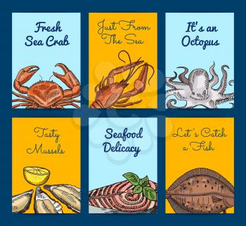Vector card or flyer templates with colored hand drawn seafood elements with place for text or logo illustration