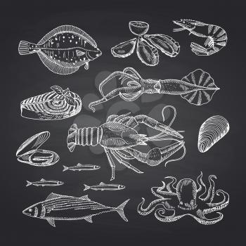 Vector hand drawn seafood elements on black chalkboard set. Illustration of seafood sketch, oyster and shrimp, crab and lobster