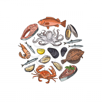 Vector banner and poster with hand drawn seafood elements in form of circle illustration