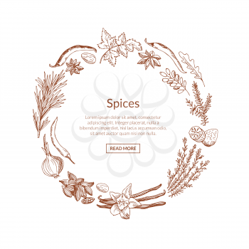 Vector hand drawn herbs and spices in circle form with place for text in center illustration