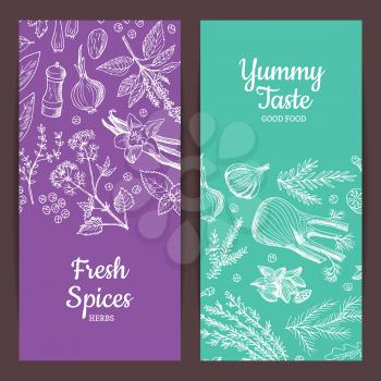 Vector hand drawn herbs and spices vertical web banners illustration