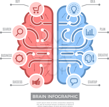 Brain infographic. Conceptual thinking learning symbols vector creative business pictures with place for text. Infographic brain, education knowledge and function brain illustration