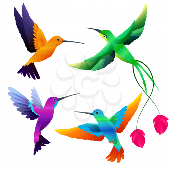 Hummingbirds collection. Exotic tropical little birds flying vector cartoon set. Illustration of exotic animal, colored bird hummingbird