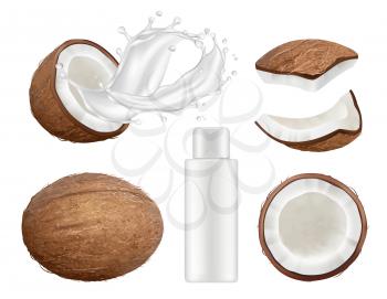 Coconut collection. Fresh tropical coco fruit with milk vector nature coconuts realistic illustrations. Coconut half fruit, food ingredient nutrition