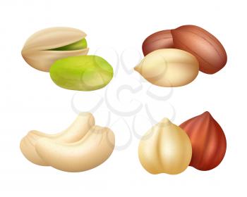 Nuts realistic. Mixed seeds dry food dried cashew vector pictures of nuts. Cashew and hazelnut, pistachio and almond, nutshell illustration