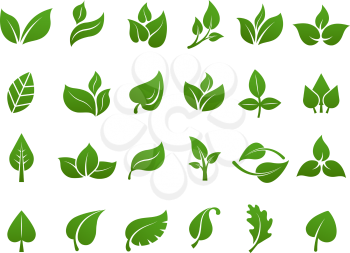 Green leaves logo. Plant nature eco garden stylized icon vector botanical collection. Green leaf and eco botanic label illustration