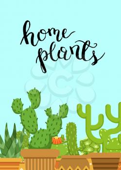 Cacti in pots in flat style in bottom with Home Plants lettering on plain background. Vector illustration