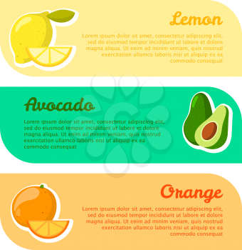 Cards with space for your text. fruits benefits. Lemon, avocado and orange. Template banner set vector illustration