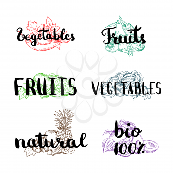 Vector doodle handdrawn colored piles of fruits and vegetables with vegan, organic, natural lettering. Illustration of hand drawing text collection