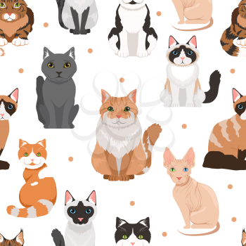 Vector seamless pattern of cute cats. Colored pictures of pets. Cat pet animal pattern background illustration