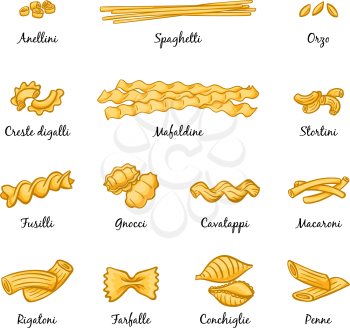 Macaroni, spaghetti and others type of italian pasta. Vector pictures isolate on white. Italian cuisine food, traditional type spaghetti illustration