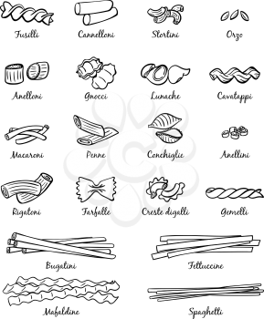 Linear pictures of classical italian food. Different types of pasta. Food italian assortment, farfalle and cannelloni, stortini and anellini spaghetti icons, vector illustration