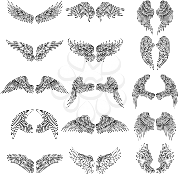 Tattoo design pictures of different stylized wings. Vector illustrations for logos design. Set of wing angel or bird design tattoo