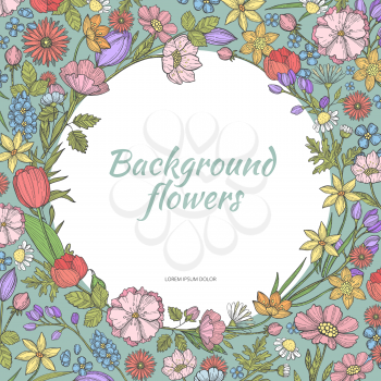 Circle background with flowers. Hand drawn pictures of various plants. Color flower summer, drawing elegant, vector illustration