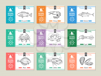 Seafood labels. Design template with hand drawn illustrations of fish and other seafood shrimp and mackerel, perch and squid, octopus and crab vector