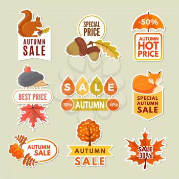 Labels and badges of autumn. Discount stickers of autumn big sales with fox, acorn hedgehog and rowan. Vector orange and yellows leaves. Discount poster autumn sticker illustration