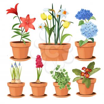 Modern flower pots. Colored decorative plants tree tulip vector illustrations. Colored flower botanical, bright bloom flowerpot