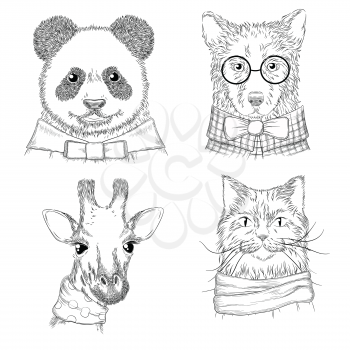 Hipster animals. Fashion adult illustrations wild animals in various clothes vector hand drawn sketches. Animal hipster wild panda and cat, bear and giraffe