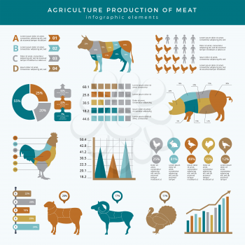 Agriculture farming infographic. Food animals farm technology nutrition business infographic template table chart with place for text. Farm agriculture information, animal cow and sheep illustration