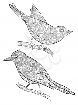 Coloring pages for adults. Little wild birds for with pattern vector illustration on body bird sitting on branch. Bird animal drawing on branch monochrome
