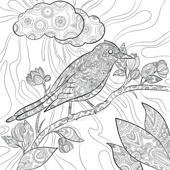 Coloring pages bird. Wild flying animal in sitting on branch vector nature floral pattern line illustrations. Wildlife bird nature drawing sit on branch tree
