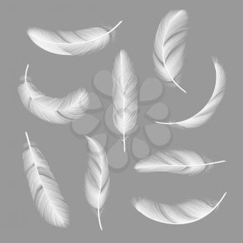 Feathers realistic. Flying furry weightless white swan objects vector isolated on dark background. Feather white flying and falling illustration