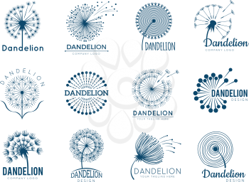 Botany dandelion logo. Herbal leaves flowers vector illustrations for brand design. Brand and logo with dandelion plant silhouette, logotype of company