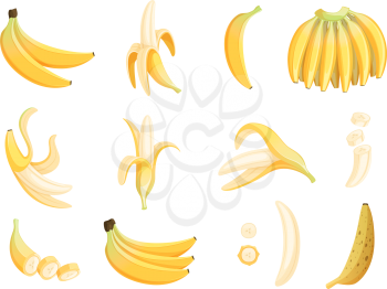 Banana fruit. Appetizing dessert food eating vector cartoon pictures. Banana ripe food, tropical dessert vegetarian illustration