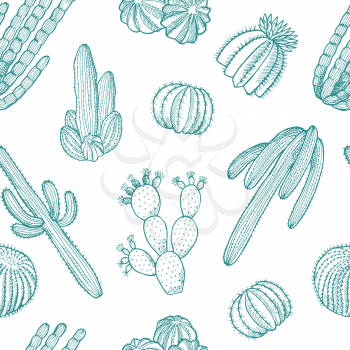 Vector hand drawn wild green cacti plants pattern or background illustration