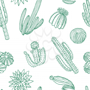 Vector hand drawn nature wild cacti plants pattern or background illustration