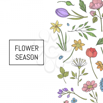 Vector hand drawn flowers background with place for text illustration