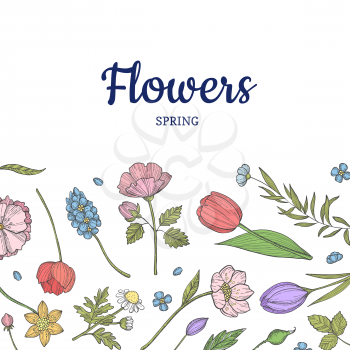 Vector hand drawn flowers background with place for text illustration
