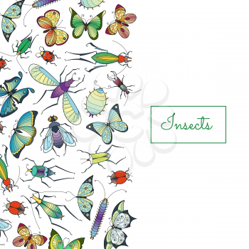Vector hand drawn insects background with place for text illustration. Web banner for website