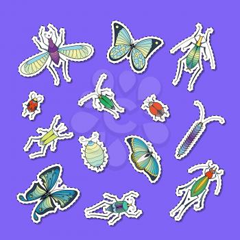 Vector hand drawn insects stickers set illustration isolated on background