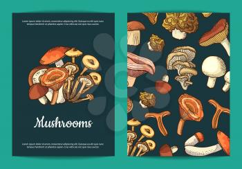 Vector hand drawn mushrooms card, flyer or brochure and banner template illustration