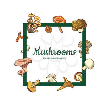 Vector frame with flying hand drawn mushrooms around it with place for text illustration. Menu text frame