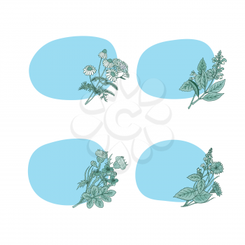 Vector hand drawn medical herbs stickers with place for text set illustration