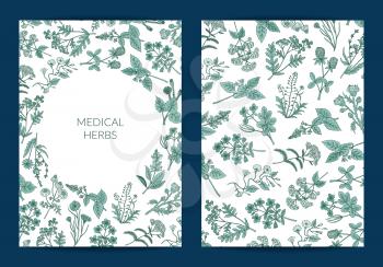 Vector hand drawn medical herbs card or flyer poster of set template illustration