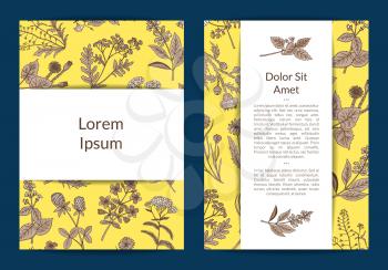 Vector hand drawn medical herbs card or flyer web banner template illustration