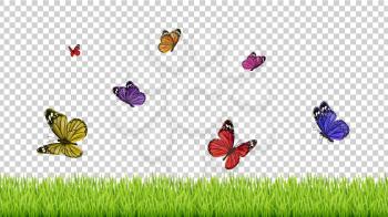 Spring background. Realistic grass, color flying butterflies. Isolated green meadow vector illustration. Spring insect butterfly, summer decoration multicolored