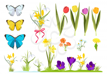 Cartoon flowers. Spring plants gardening set chamomile and tulips grass vector set. Bouquet bloom meadow, chamomile and grass illustration